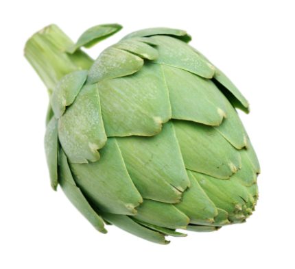 artichoke-v1 artichoke-v1